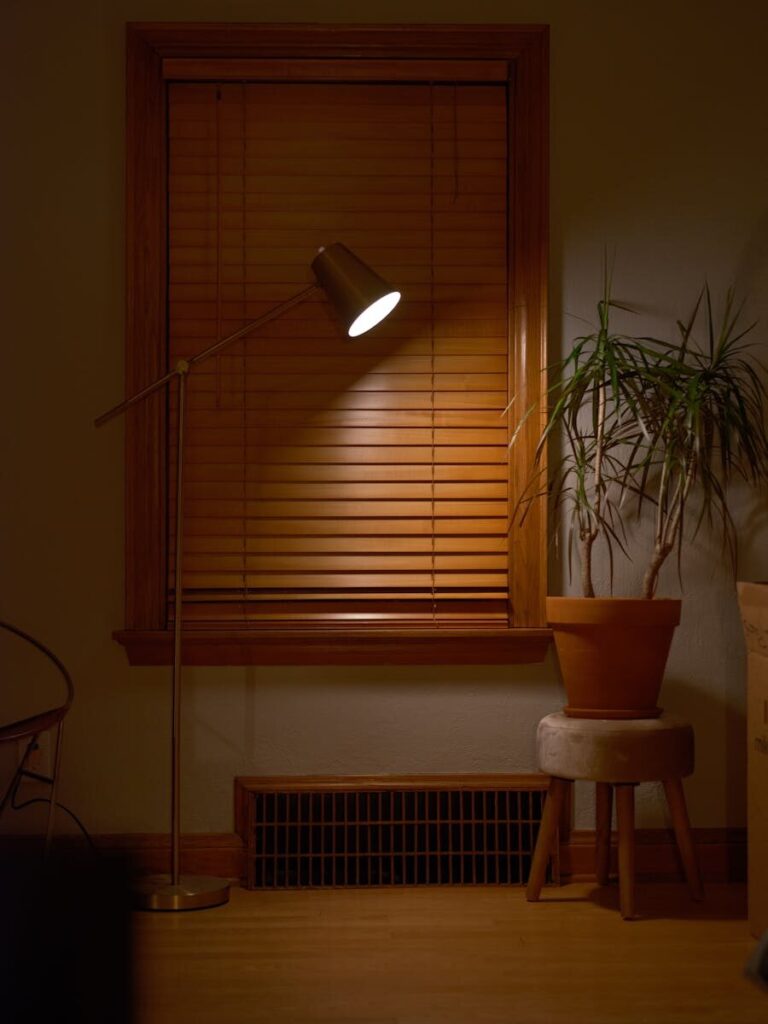 A warm, inviting room with a floor lamp and potted plant beside a window with blinds.